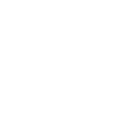 Antiquitäten-Jugendstil